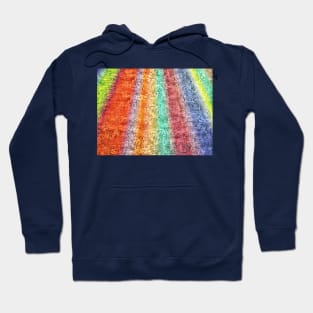 texured rainbow Hoodie